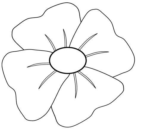 Poppy Drawing Template